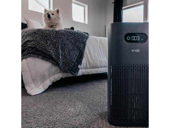 Air Purifier with Allergen Filter — Air Purifier, Wyze