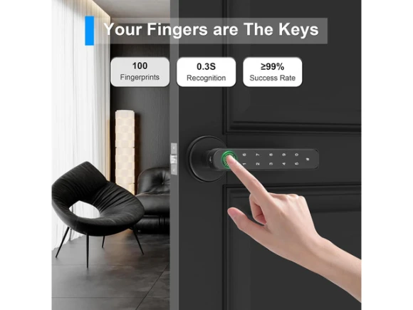 Fingerprint biometric door knob lock — Smart Lock, STARWELL