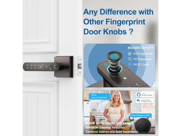 Fingerprint Door Knob Lock — Smart Lock, STARWELL