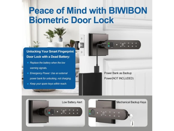 Fingerprint Door Knob Lock — Smart Lock, STARWELL