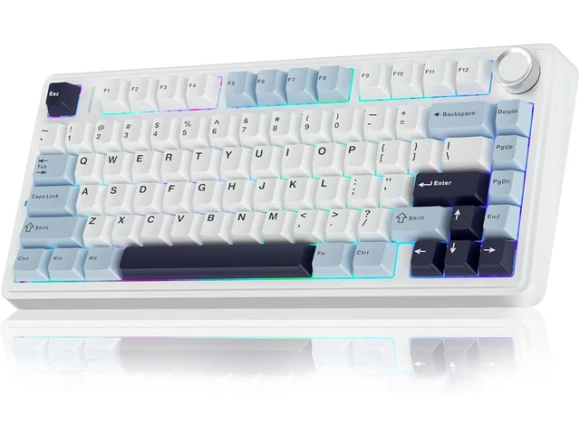 White & Blue Wireless Mechanical Keyboard — Bluetooth Keyboard, AULA