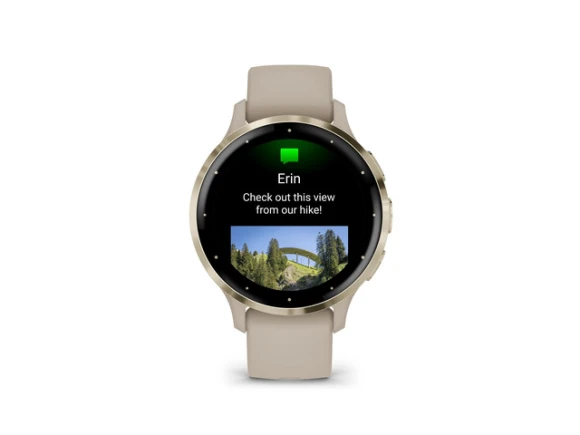 Smart Watch with Soft Gold Stainless Steel Bezel, French Gray Case and Silicone Band — Smart Watch, Garmin