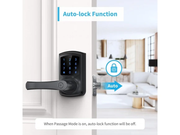 Electronic Keypad Door Lock with Handle, Matte Black — Smart Lock, Signstek