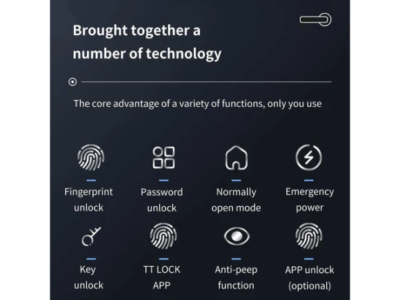 Keyless Entry Biometric Keypad Door Lock — Smart Lock, YINGHUA