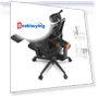 Ergonomic Chair with Footrest, Auto-Following Backrest, Adaptive Lower Back Support — Desk Chairs, NEWTRAL