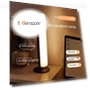 Voice Control Lamp — Standing Lights