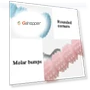Thumbnail Teething Toy Chewing Dog Toothbrush Toy — Toys