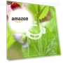 Thumbnail Reusable Plastic Plant Clips for Climbing Plants — Clamps, FKMEE