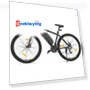 Electric Moped Bike — Electric Self-Balancing Scooters, Eleglide