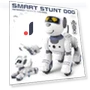 Intelligent Robot Dog — Interactive Figures & Robots, Oran Sky