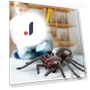 Remote Control Spider Toy — Interactive Figures & Robots, Outdeer