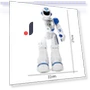 Intelligent Robot for Early Education — Interactive Figures & Robots, Yexin Dian