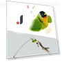 Feather Toy for Cats — Cat Playthings, HQ Pretty