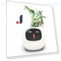 Smart Flower Pot with Robot Navigator — Vases, HappyToy