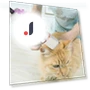 Electric Pet Grooming Kit 4-in-1 — Hair Clippers, Elegant Living House
