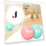 Smart Electric Cat Toys with Rechargeable Battery — Cat Playthings, fancy01