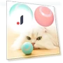 Automatic Rolling Smart Interactive Toy for Cats — Cat Playthings, lijiansa22