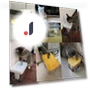 Automatic Recirculating Water Fountain for Cats — Fountains, GYROBALL