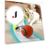Interactive Ball for Cats — Cat Playthings, Meiteai-All