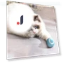 Interactive Ball Smart Cat Toys Indoor Automatic Rolling Magic Ball — Balls, AE Selection