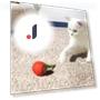 Interactive Cat Toy with Smart Rolling Ball — Cat Playthings, Vogue Wardrobe