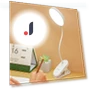 LED Desk Lamp with Touch Night Light — Study & Desk Lighting, Seahorse Home