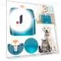Automatic Water Dispenser for Cats and Dogs — Fountains, GYROBALL