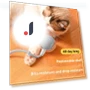 Interactive Cat Toy Ball — Cat Playthings, Love Pet House