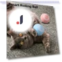 Interactive Cat Ball — Cat Playthings, fuhushhs