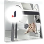 Interactive Cat Toy Puzzle — Cat Playthings, Lntelligent Living Hall