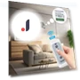 Smart Switch — Ceiling Fan Wall Controls, Explorer Outdoors