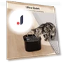 Ultra-Quiet Fountain Filter for Cats, Smart Automatic Water Dispenser for Dogs — Fountains, Good Household Items
