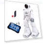 Humanoid Robot — Interactive Figures & Robots, MIYAKO DENKI