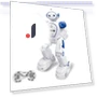 Multifunctional Toy Robot — Interactive Figures & Robots, MIYAKO