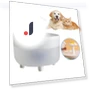 Automatic Water Fountain for Pets — Fountains, Pets Home