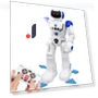 Intelligent Programmable Gesture Control Robot — Interactive Figures & Robots, MIYAKO