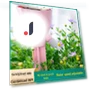 Japanese Style Drip Irrigation Device — Drip Kits, AI Supermarket