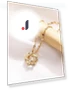Smart Hexagram Necklace — Smart Jewelry, Commodity Jewel