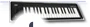 Wireless MIDI Keyboard with Bluetooth Controller — Keyboards, Premium SPEED