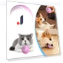 Self Rolling Ball Cat Interactive Ball — Cat Playthings, Xiangchang