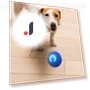 Automatic Moving Smart Ball Dog Toy — Automatic Launchers, SunshineTek