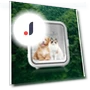 Automatic Temperature Control Pet Drying Box — , Explorer Outdoors
