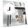Interactive Cat Toy Puzzle — Cat Playthings, Modern Home Furnishing