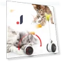 Interactive Cat Toy — Cat Playthings, Smart Pet Supplies