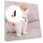 Universal Waterproof Mini GPS Tracker Collar — Item Locators, Good Household Items