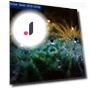 Waterproof Solar Outdoor Lights — Garden Illumination, Smarter than future