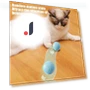 Automatic Rolling Ball with Light — Cat Playthings, Love Pet House