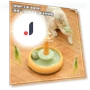Automatic Teaser Wand for Cats — Cat Playthings, All in Watch