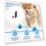 Interactive Pet Ball Toy — Interactive Animal Companions, Uomobo