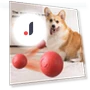 Interactive Pet Toy Ball — Interactive Animal Companions, yangyizhi